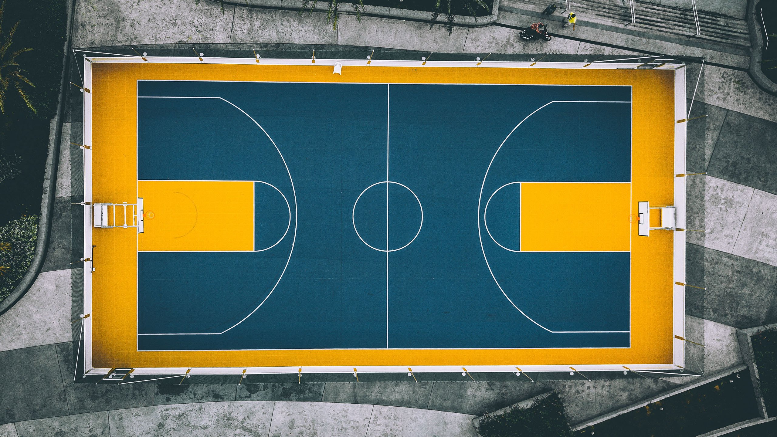 武磊进军NBA？一场颠覆想象的跨洋实验|爱游戏电脑版